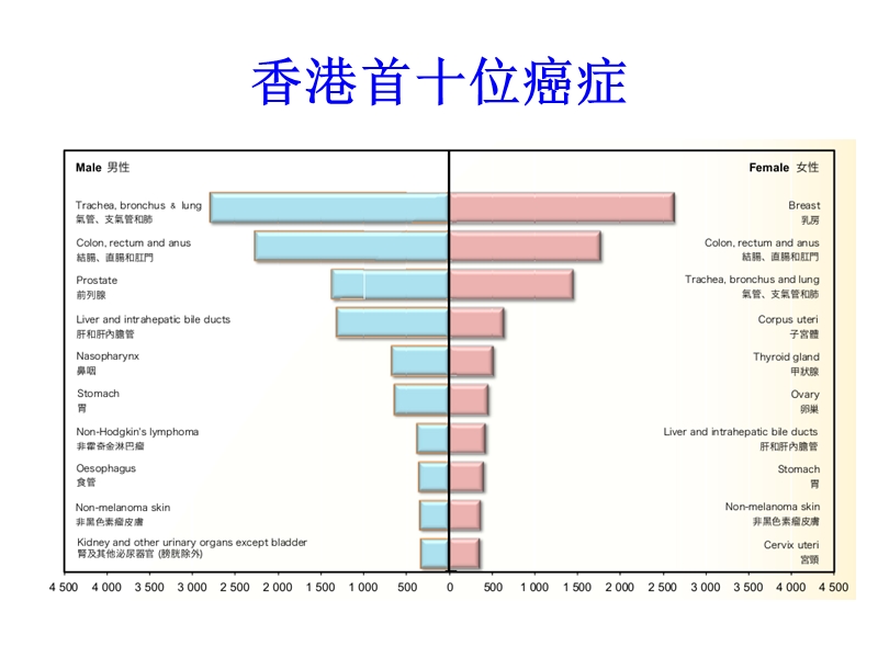 非小细胞肺癌.ppt_第3页