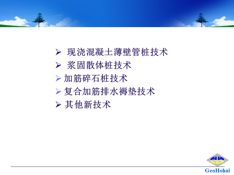 复合地基新技术 PPT.ppt_第2页