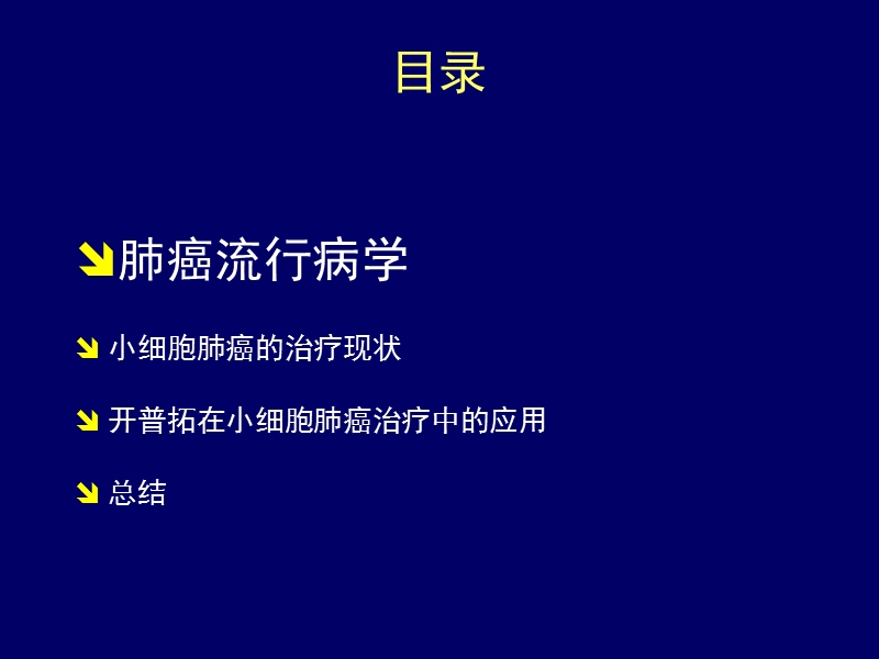 开普拓-有效、安全治疗小细胞肺癌.ppt_第2页