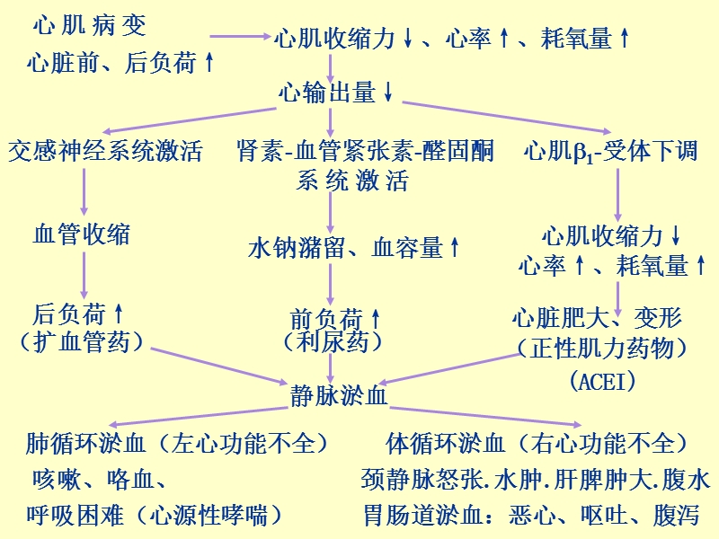 抗心功能衰竭药物.ppt_第3页