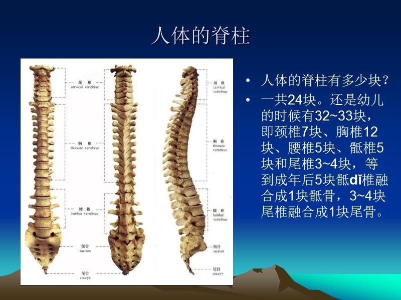 颈椎病的防治.ppt_第3页