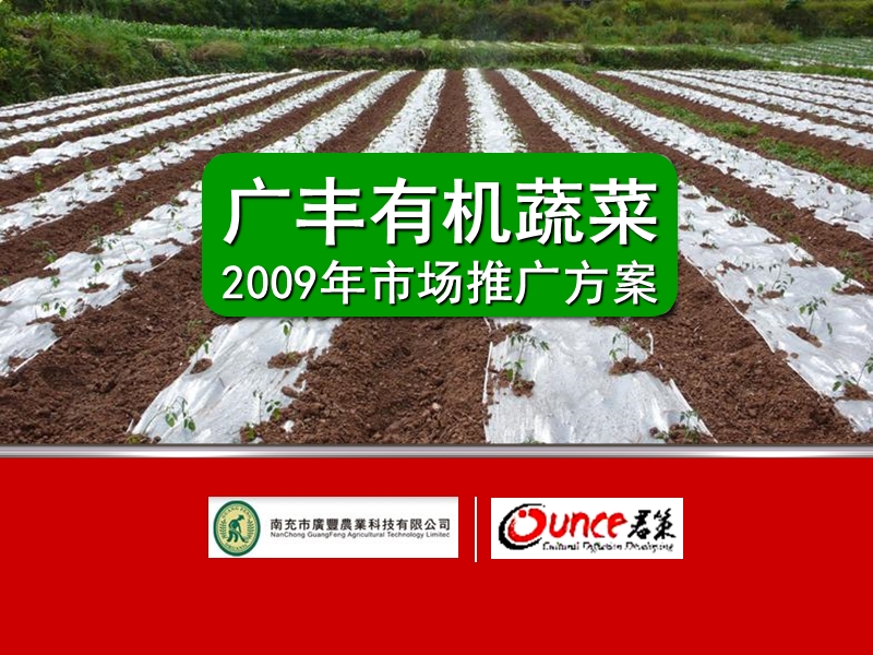 广丰有机蔬菜2009年市场推广方案.ppt_第1页