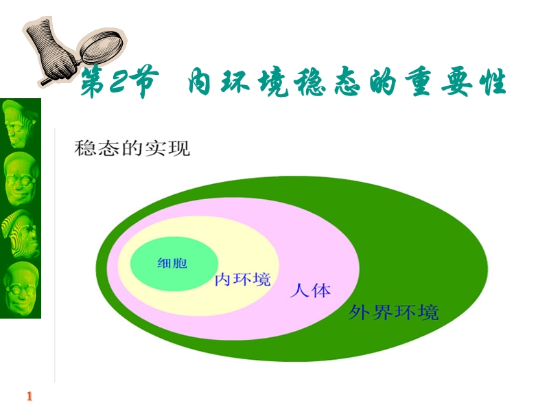 必修3第一章第二节内环境稳态的重要性(1).ppt_第1页