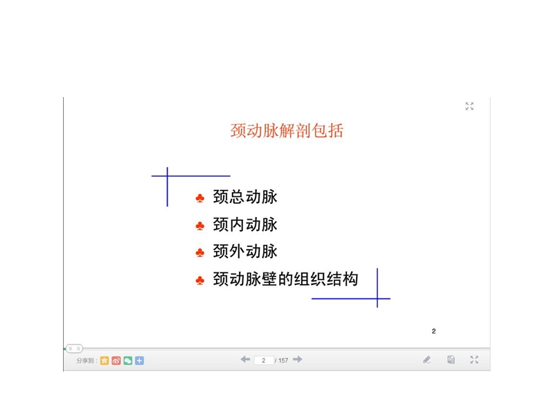 颈动脉解剖.ppt_第2页