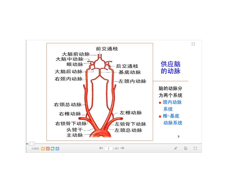 颈动脉解剖.ppt_第3页