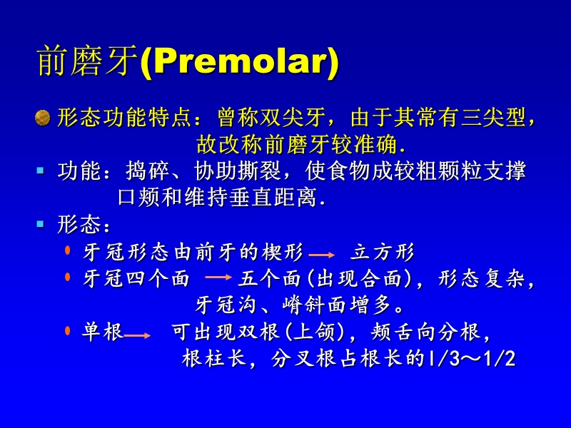 恒牙_前磨牙组.ppt_第1页