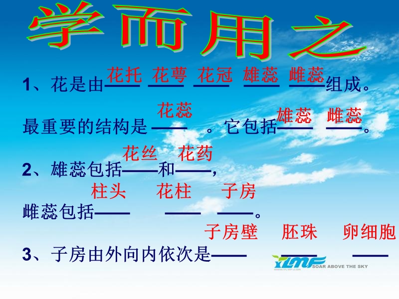 开花结果课件.ppt_第3页