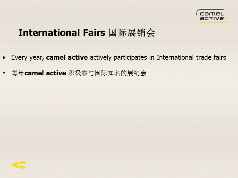 德国骆驼品牌行销活动方案3.ppt_第3页