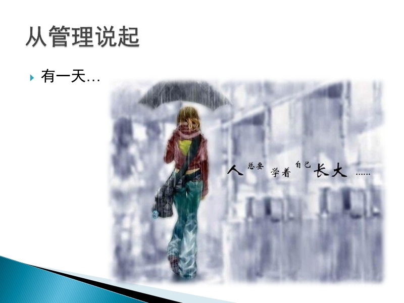 项目中的风险管理.ppt_第3页