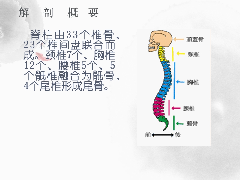 颈椎病的护理.ppt_第2页