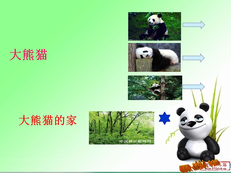 我爱大熊猫.ppt_第2页