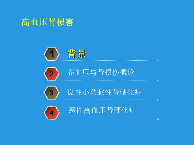 高血压肾损害.ppt_第2页