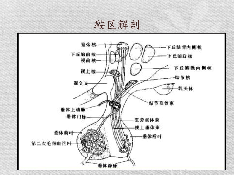 鞍区囊性病变.pptx_第2页