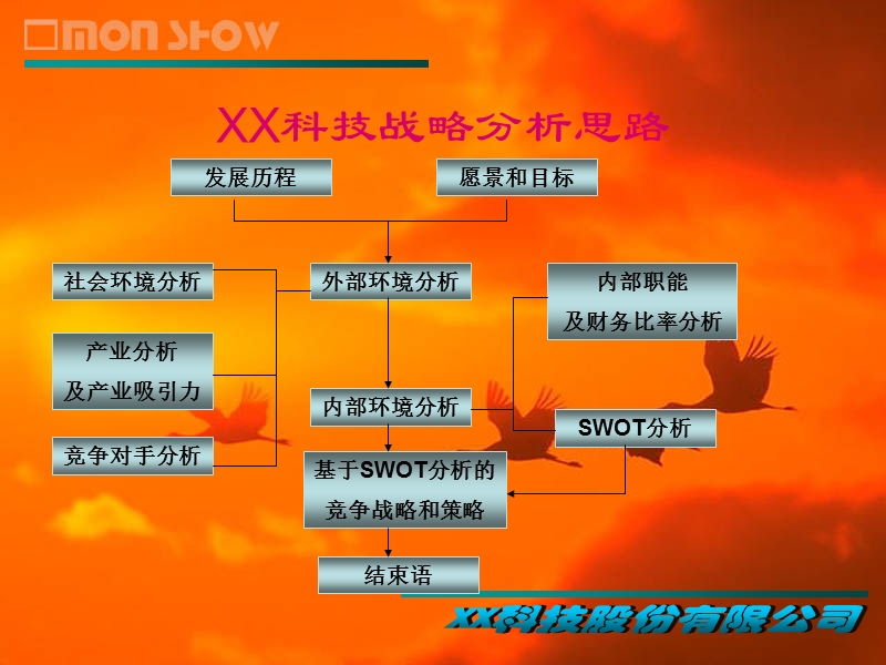 数源科技之竞争战略和策略.ppt_第2页