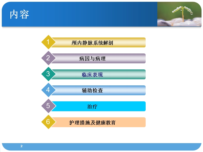 静脉窦血栓的护理.ppt_第2页