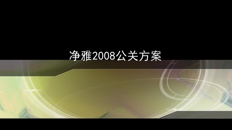 汉扬传播净雅集团2008品牌传播方案0115.ppt_第2页