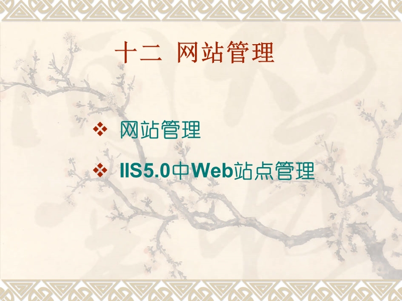 电子商务网站设计与管理12-14.ppt_第1页