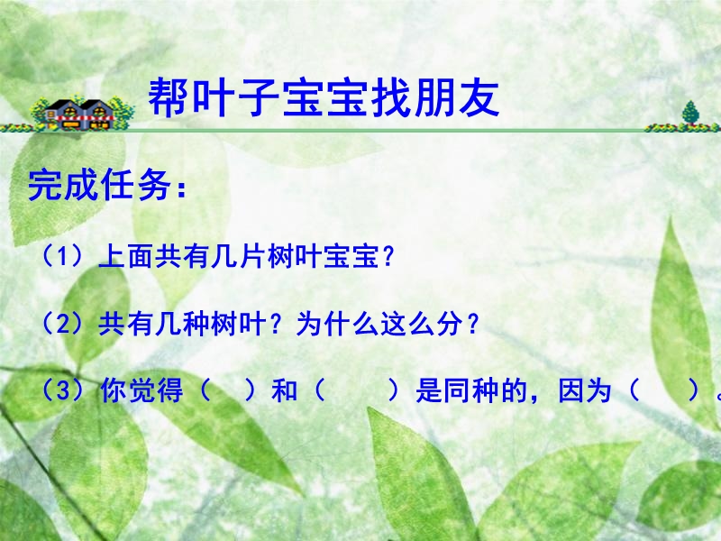 植物的叶 1.ppt_第3页