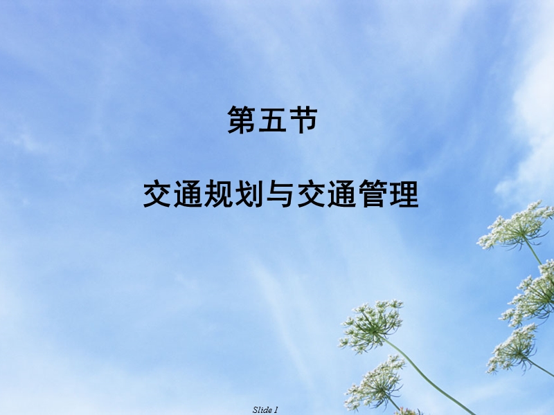 第十一章_城市机动车污染控制第五节（课件）.ppt_第1页