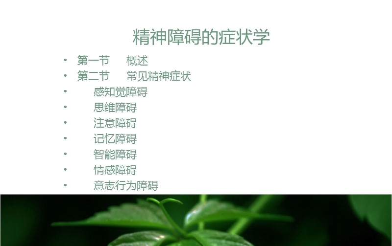 精神疾病的症状学.ppt_第2页