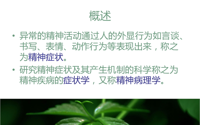 精神疾病的症状学.ppt_第3页