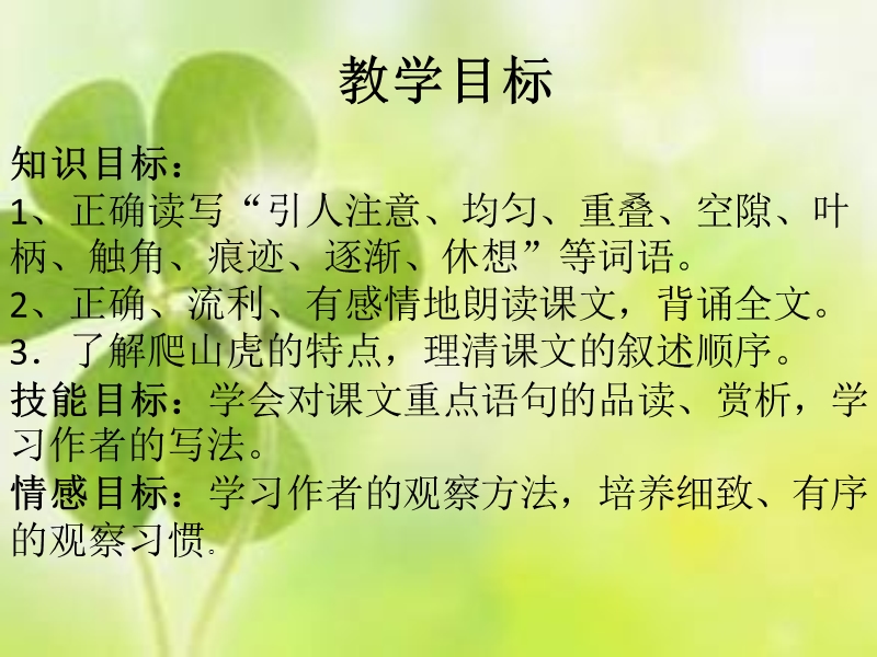 爬山虎的脚63303327.ppt_第2页