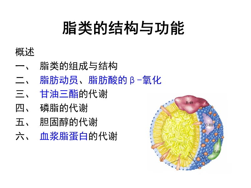 脂类的结构和功能.ppt_第1页