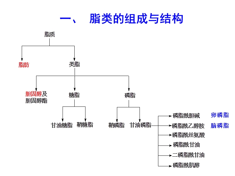 脂类的结构和功能.ppt_第3页