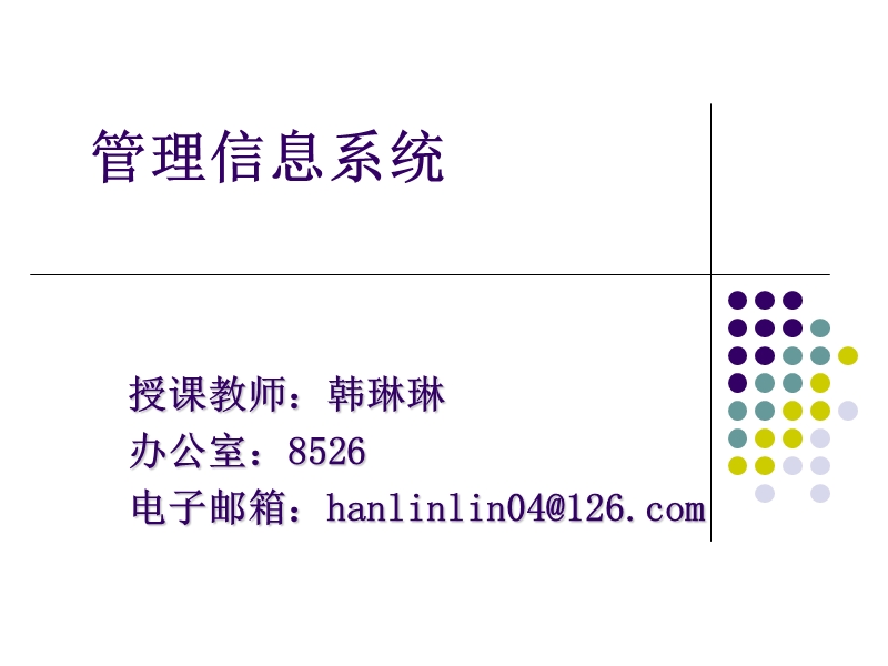 管理信息系统概论-ppt.ppt_第1页