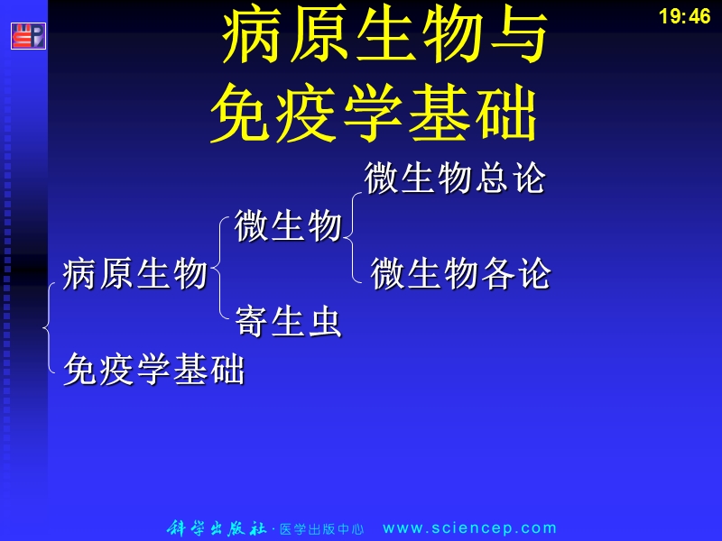 第一章微生物概述.ppt_第1页