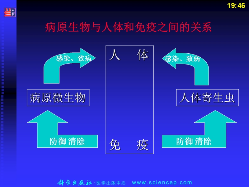 第一章微生物概述.ppt_第2页