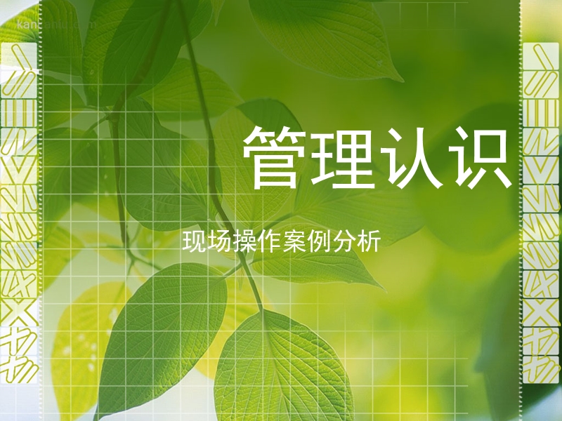 管理认识.ppt_第1页