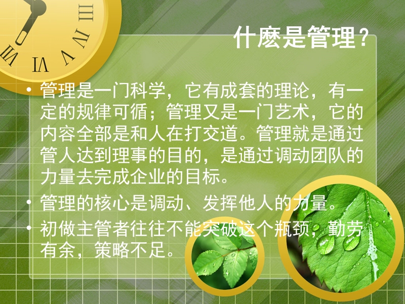 管理认识.ppt_第2页