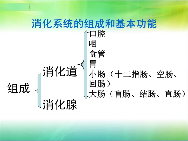 消化系统疾病专题讲座.ppt_第2页