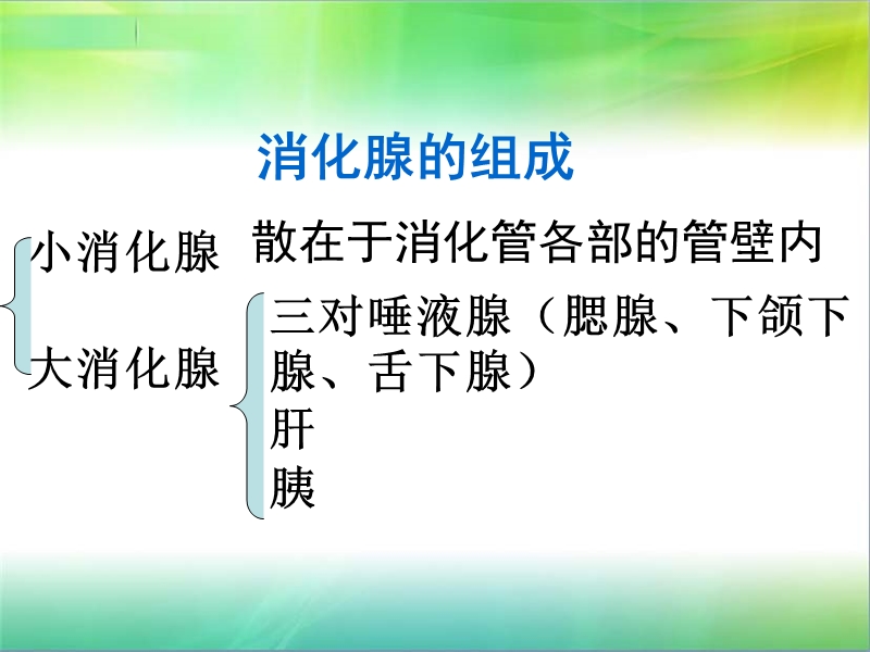 消化系统疾病专题讲座.ppt_第3页