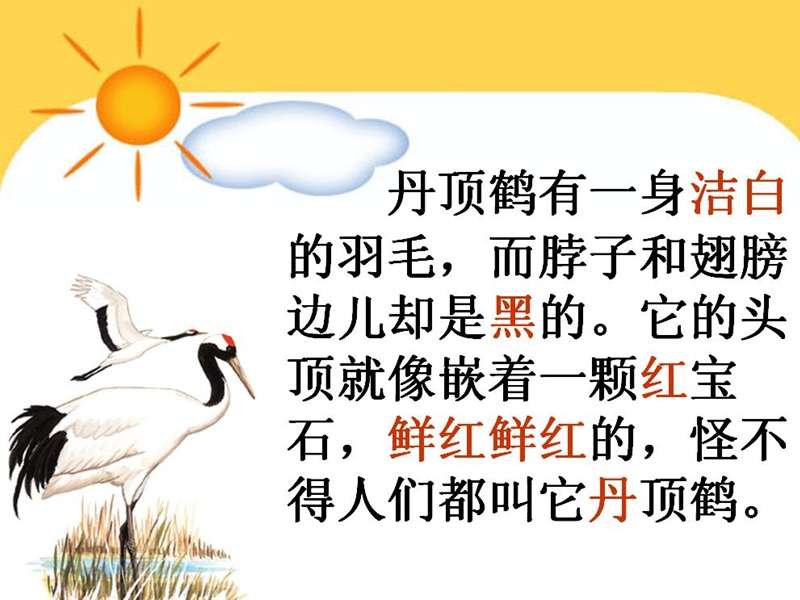 美丽的丹顶鹤.ppt_第3页