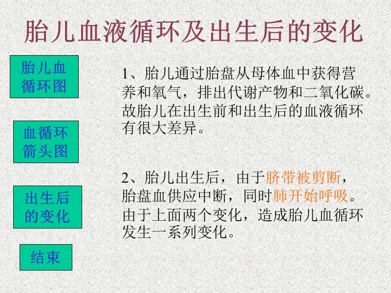 胎儿循环图解.ppt_第2页