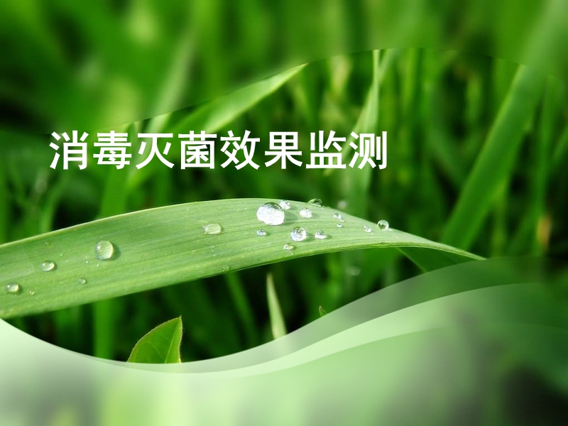 消毒灭菌效果监测.ppt_第1页