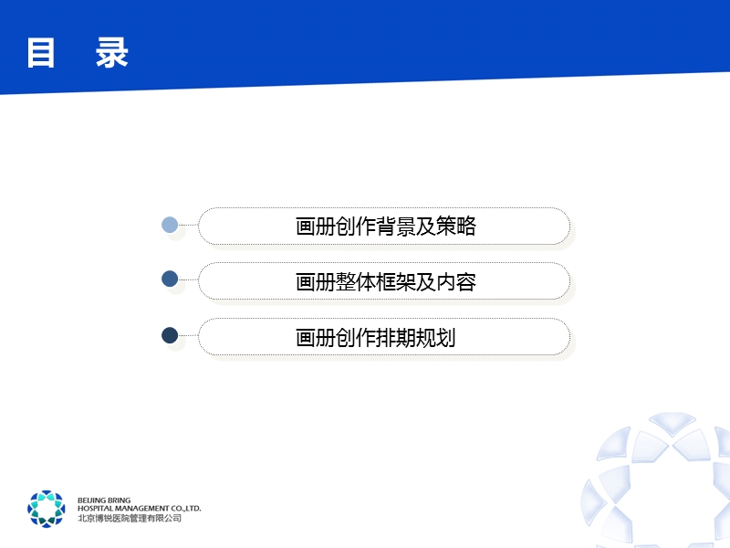 某大型医疗企业画册策划及平面拍摄方案110423.ppt_第2页