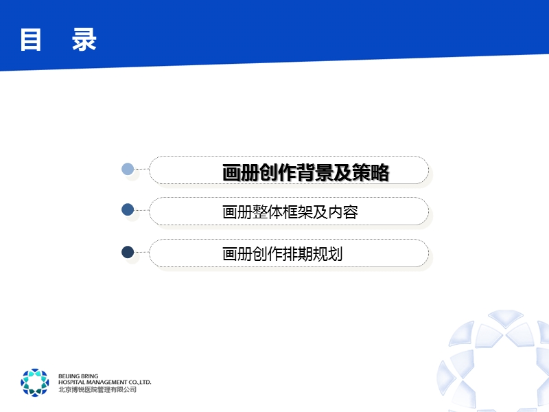 某大型医疗企业画册策划及平面拍摄方案110423.ppt_第3页