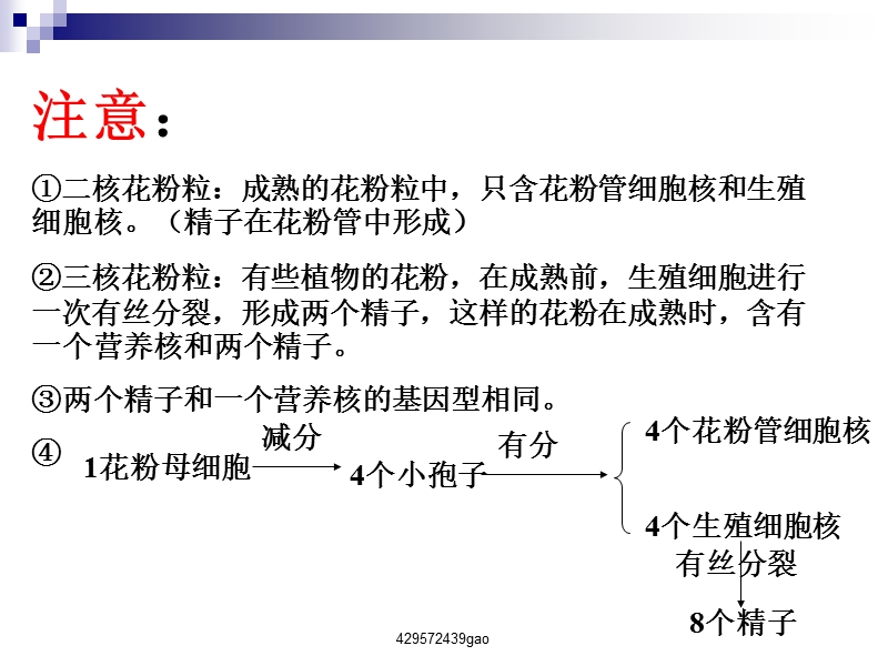 月季的花药培养.ppt_第3页