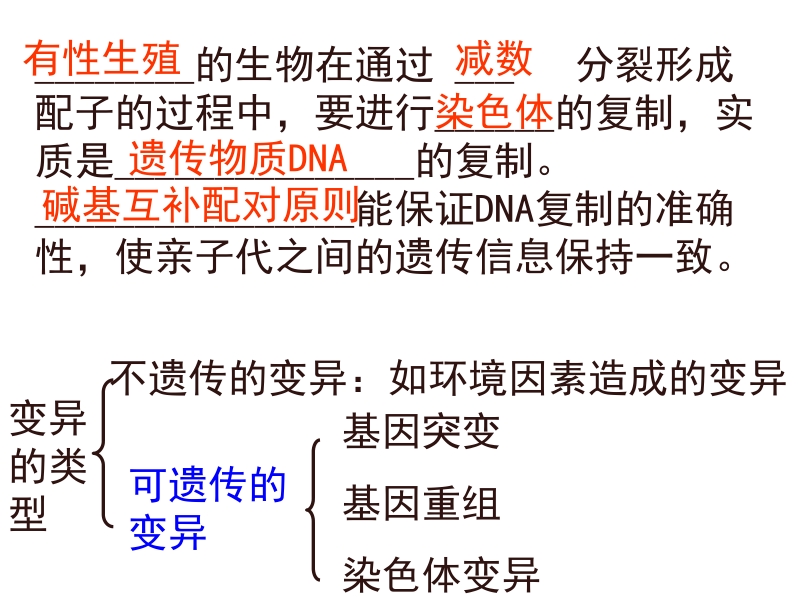 生物：5.1《基因突变和基因重组.ppt_第1页