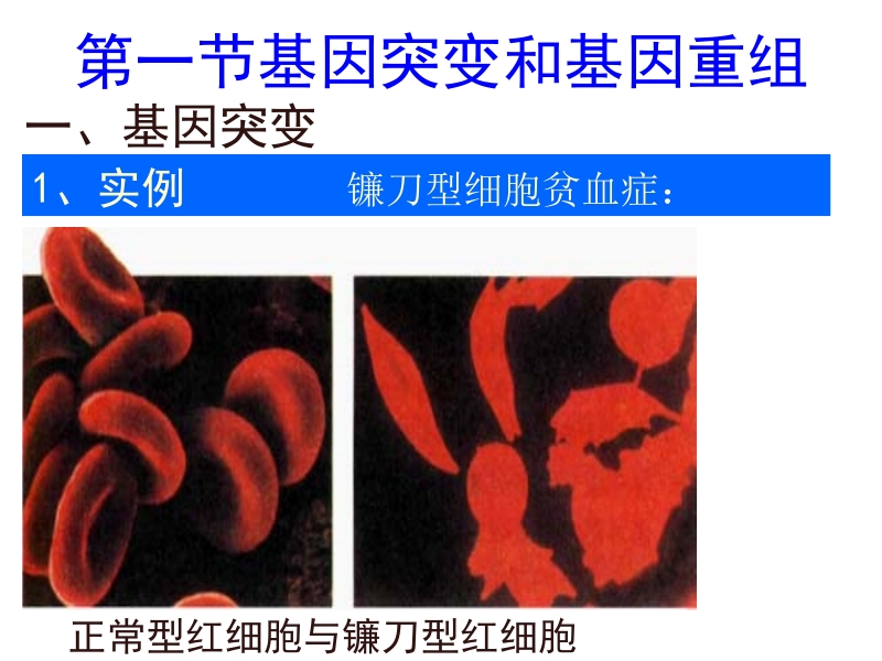 生物：5.1《基因突变和基因重组.ppt_第2页