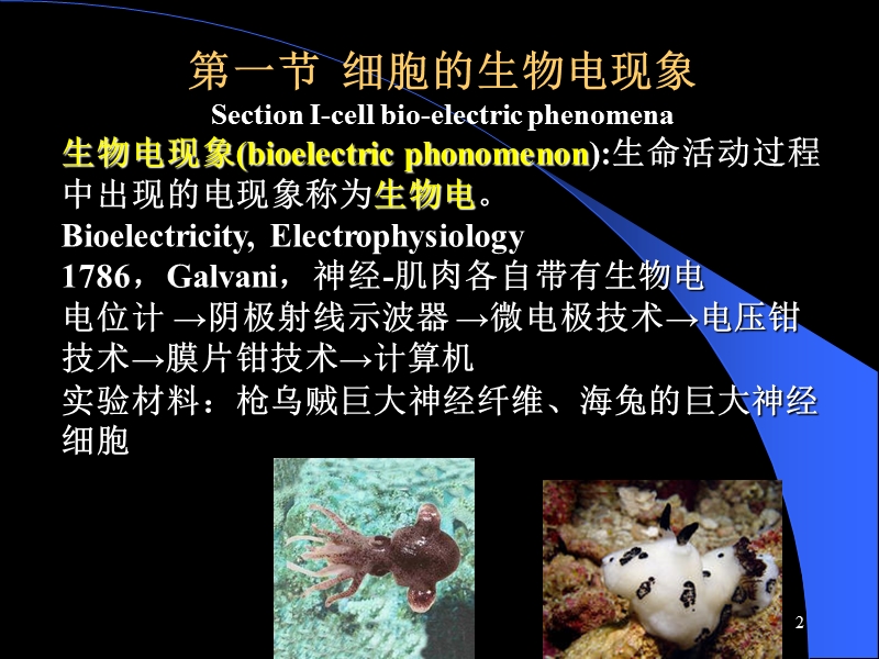 第三章神经元的兴奋和传导.ppt_第2页