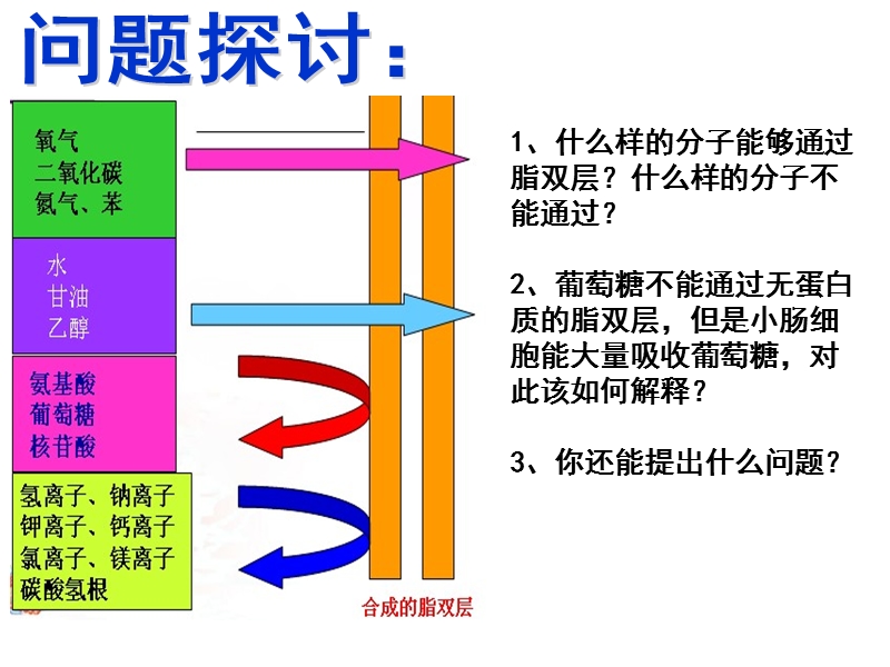 第3节物质跨膜运输的方式.ppt_第2页