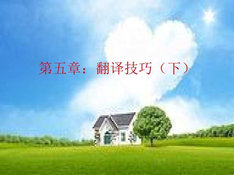 第五章翻译技巧(下)(课件).ppt_第1页