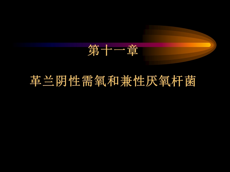 肠杆菌科概述.ppt_第1页