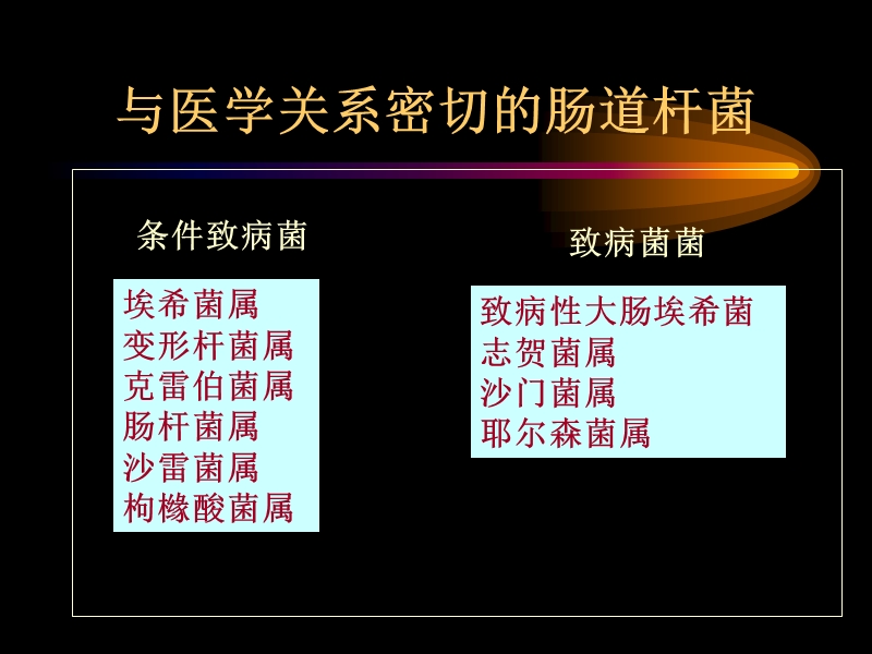 肠杆菌科概述.ppt_第3页