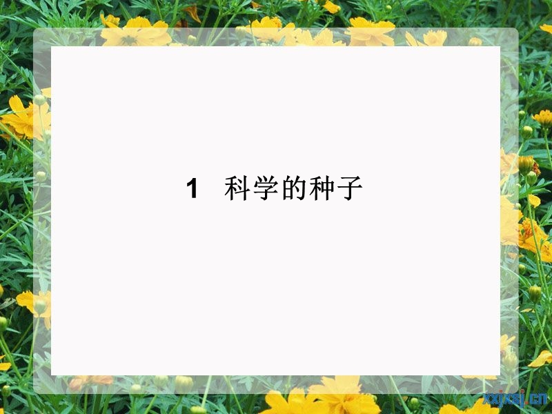 科学的种子.ppt_第2页