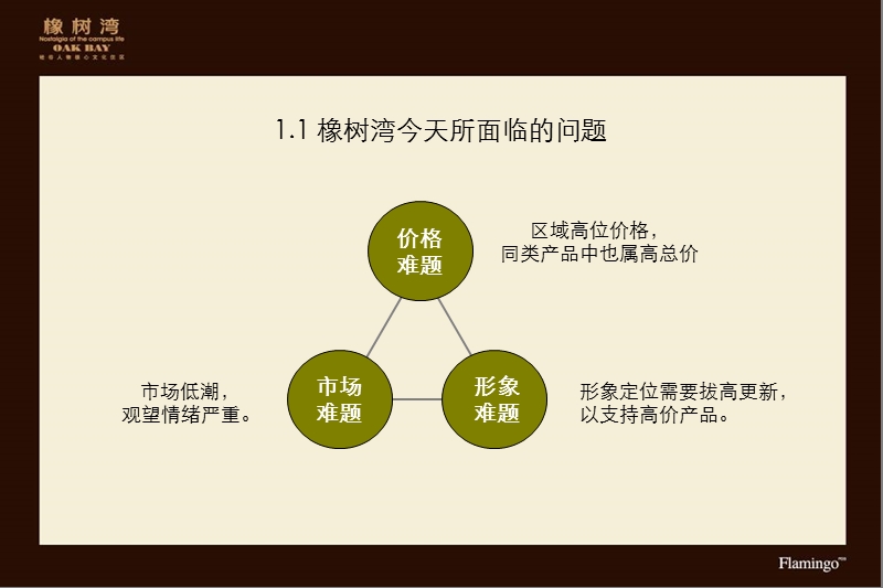 红鹤沟通_2008年北京橡树湾花园洋房新形象推广策略创作方案.ppt_第3页